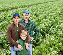 paranegocio-home-grid-5